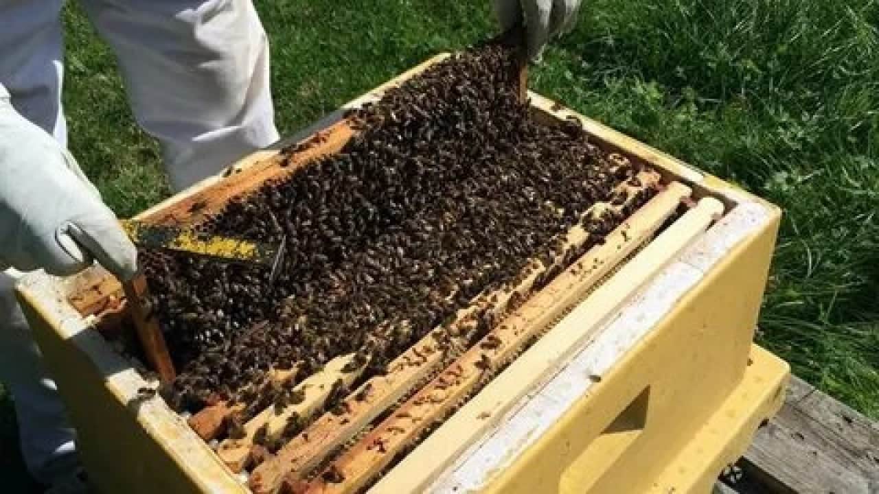 Foto - Bakan sahaya indi! Türkiye o alanda dünya liderliğine koşuyor!