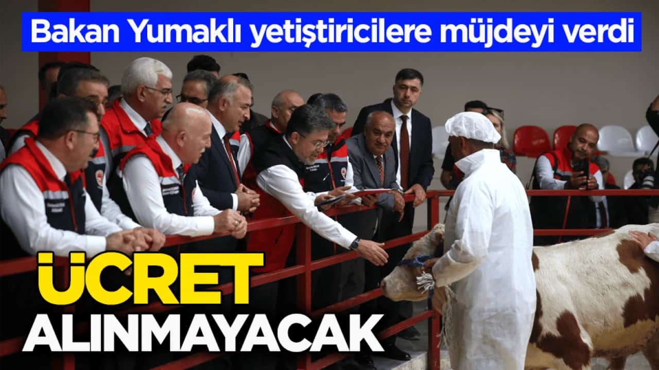 Bakan Yumaklı yetiştiricilere müjdeyi verdi: Ücret alınmayacak