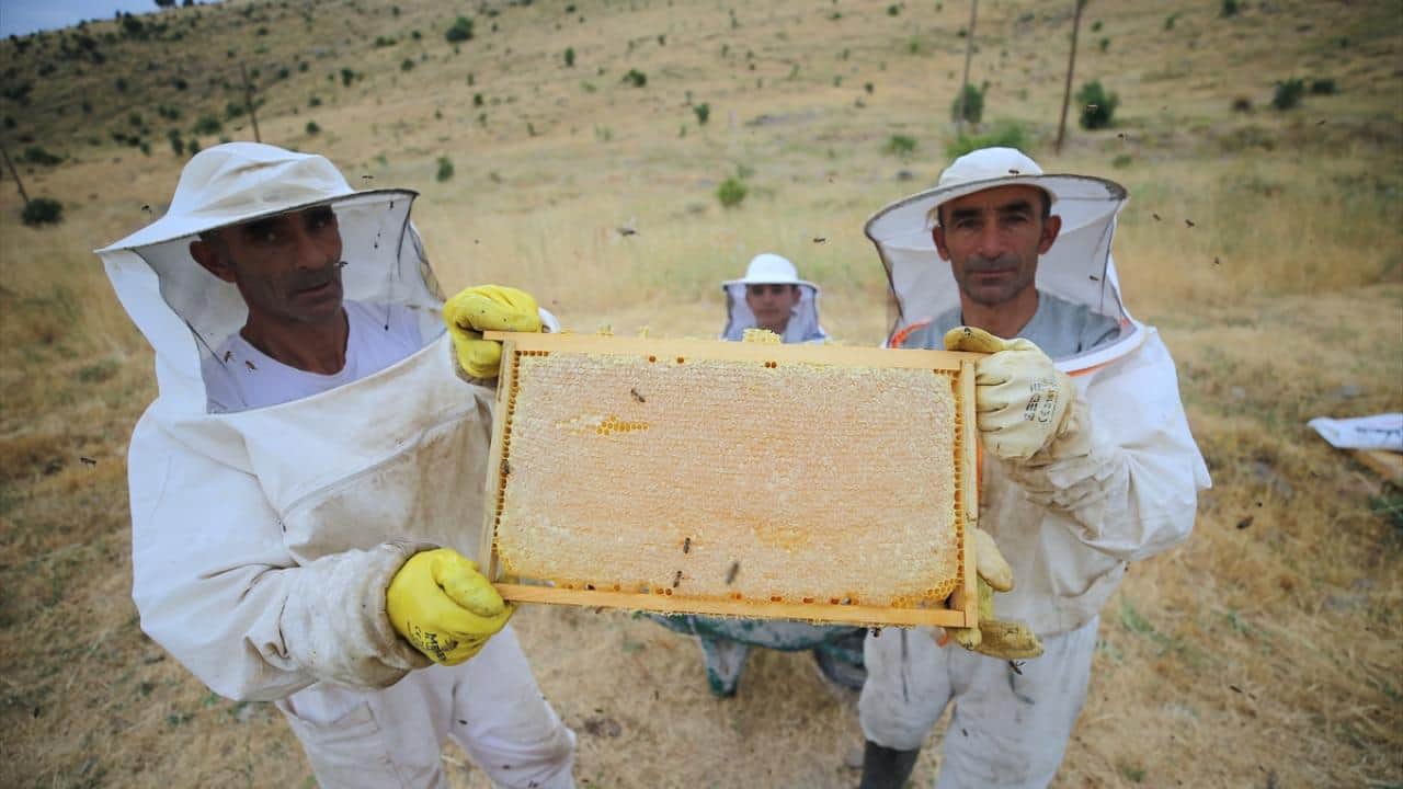 Foto - Balcı kardeşler yayla yayla geziyor! AB tescilli Bingöl balı üretiyorlar