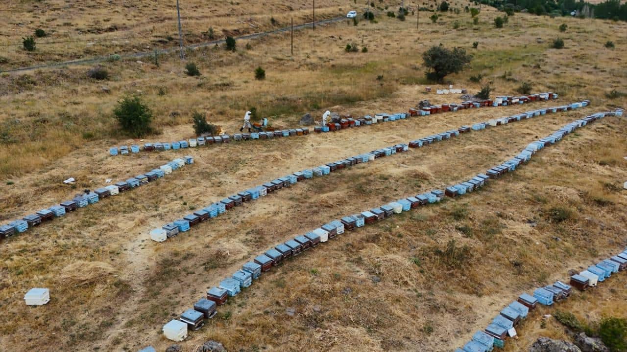 Foto - Balcı kardeşler yayla yayla geziyor! AB tescilli Bingöl balı üretiyorlar