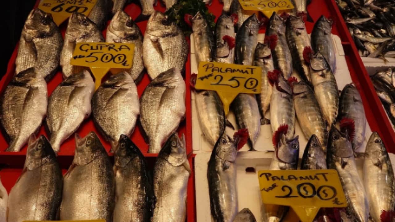 Foto - Balık fiyatları vatandaşların yüzünü güldürüyor