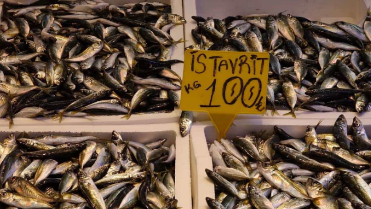 Foto - Balık fiyatları vatandaşların yüzünü güldürüyor