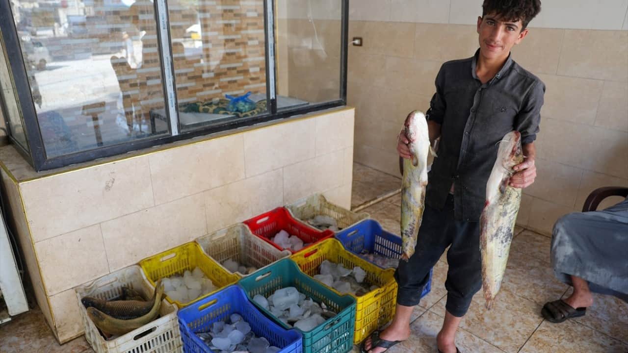 Foto - Balık pazarı hareketlendi Fırat’ın bereketi Suriyelilerin yüzünü güldürdü