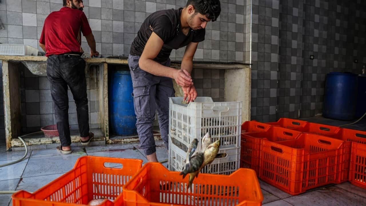 Foto - Balık pazarı hareketlendi Fırat’ın bereketi Suriyelilerin yüzünü güldürdü