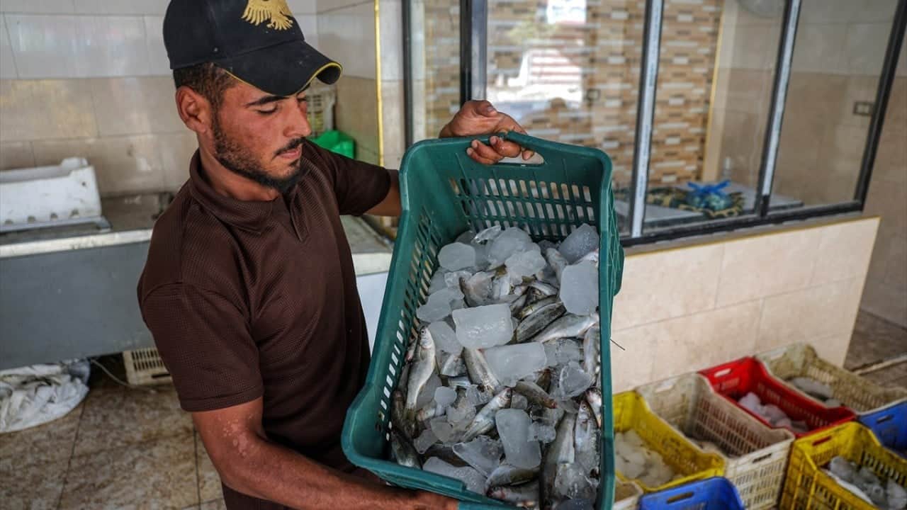 Foto - Balık pazarı hareketlendi Fırat’ın bereketi Suriyelilerin yüzünü güldürdü