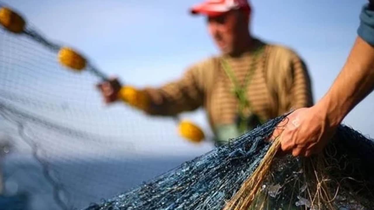 Foto - Balık sadece 1 saatte kapış kapış satıldı! Cumhur ünlü: Allah'a çok şükür çok bereketli sezonumuz...