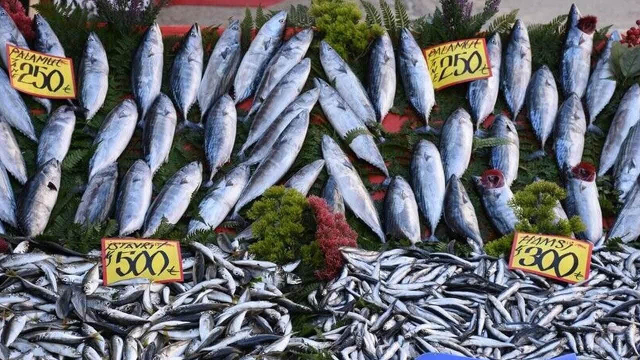Foto - Balık sezonu açıldı, tezgahlar şenlendi! Eylülde hangi balıklar yenir?