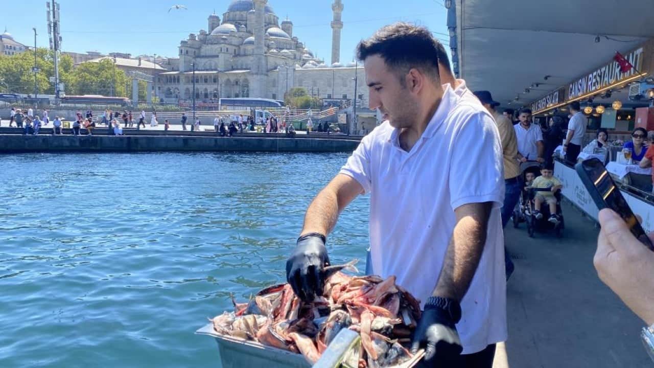 Foto - Balıkçılar elleriyle besliyor Eminönü’nde orkinoslara balık ziyafeti