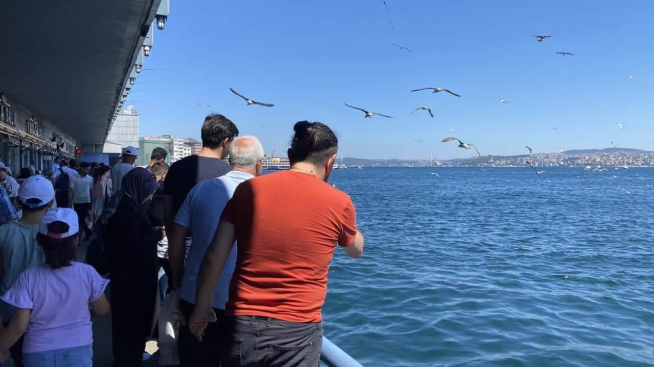 Foto - Balıkçılar elleriyle besliyor Eminönü’nde orkinoslara balık ziyafeti