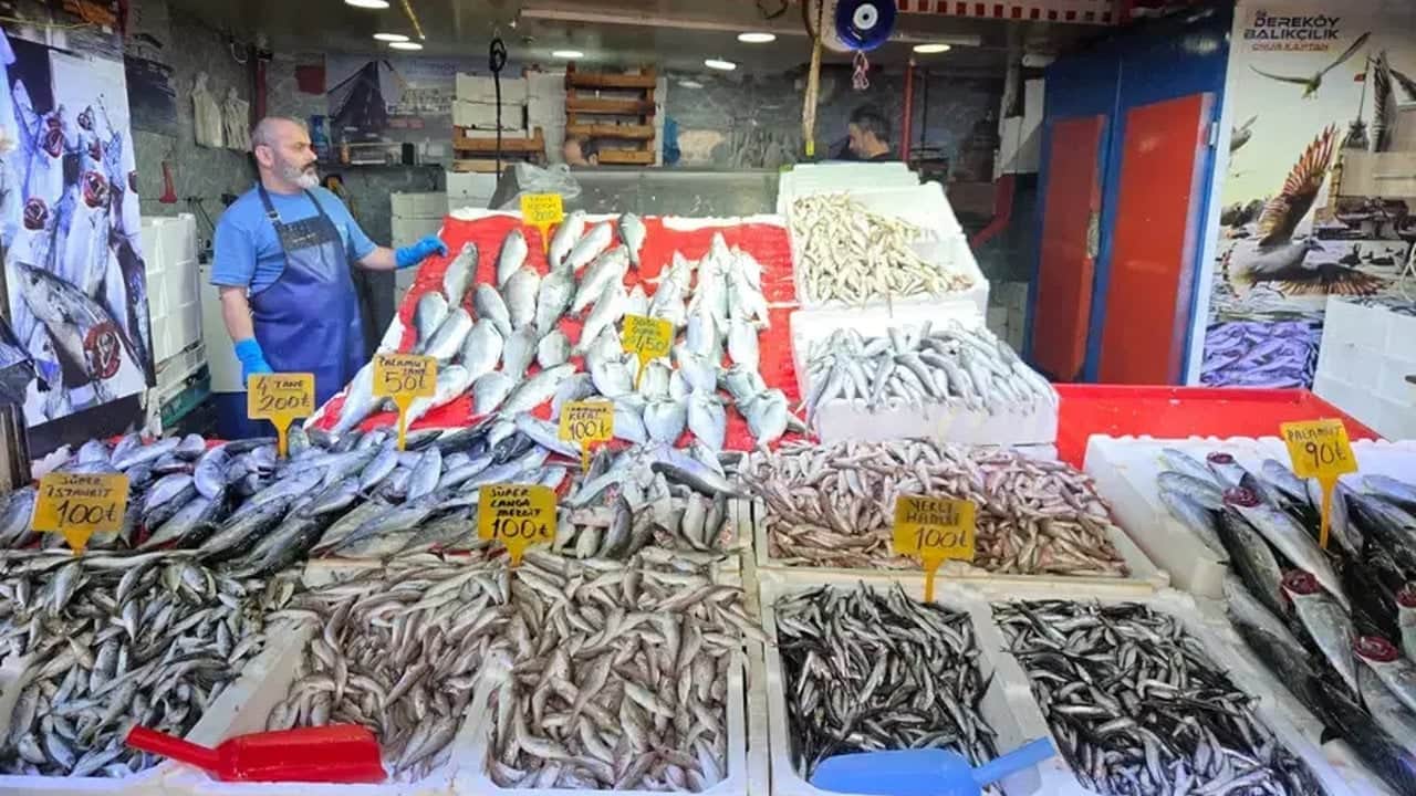 Foto - Balıkçılardan suni zam kurnazlığı! Palamutu pahalı satmak için bakın hangi yöntemi buldular?