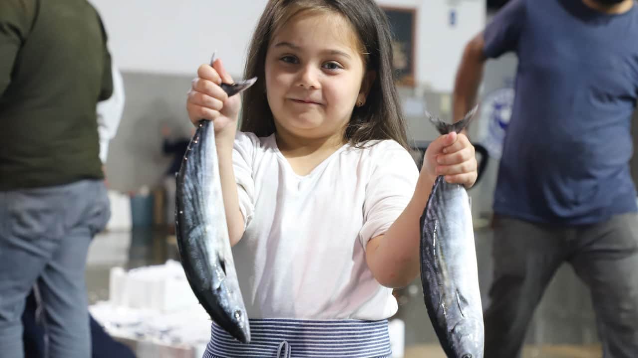 Balıkçının da vatandaşın da yüzü gülüyor! Karadeniz’de hamsi ve palamut bereketi