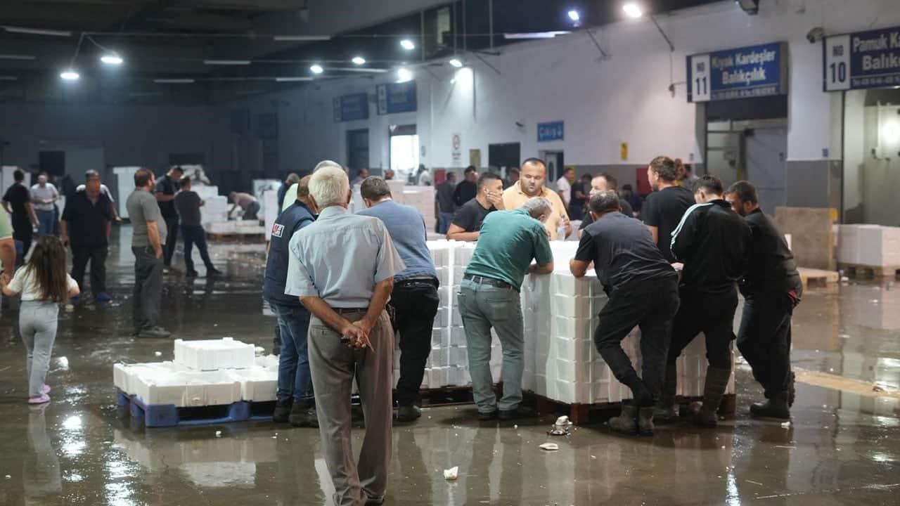 Foto - Balıkçının da vatandaşın da yüzü gülüyor! Karadeniz’de hamsi ve palamut bereketi