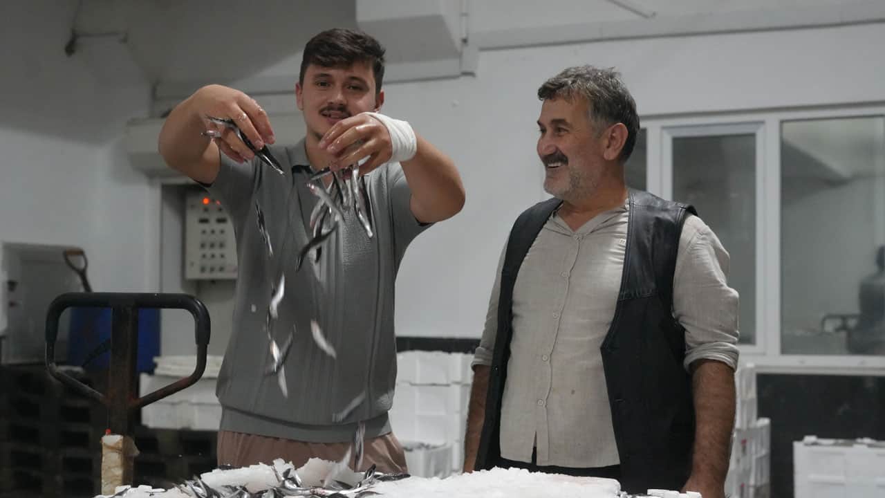 Foto - Balıkçının da vatandaşın da yüzü gülüyor! Karadeniz’de hamsi ve palamut bereketi
