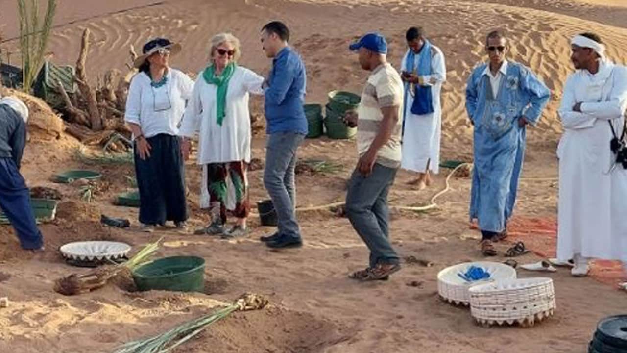 Foto - Basit ama dünyayı değiştirecek sistem geliştirildi: Tek bir kutu ile çöller ormana dönüşüyor