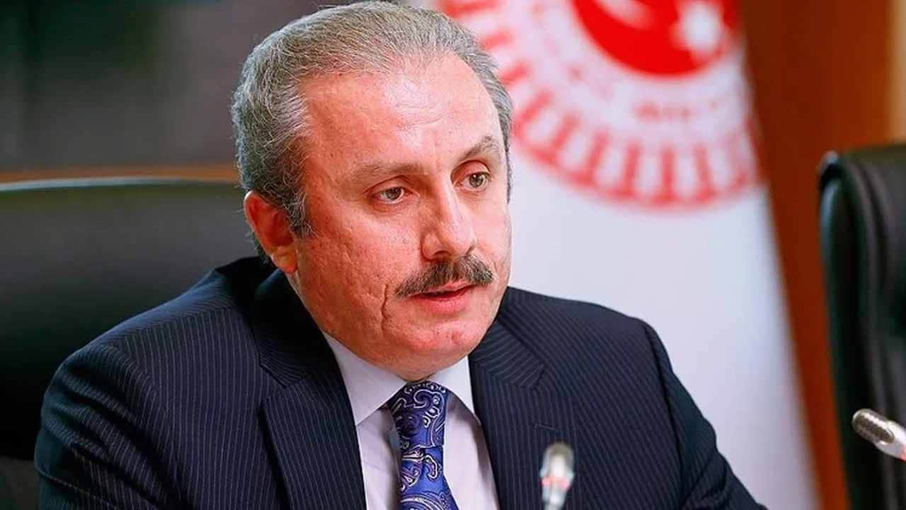 Foto - Başkan Erdoğan'ın adaylığıyla ilgili gündem olan yorum! Şentop: Şu anki anayasaya göre...
