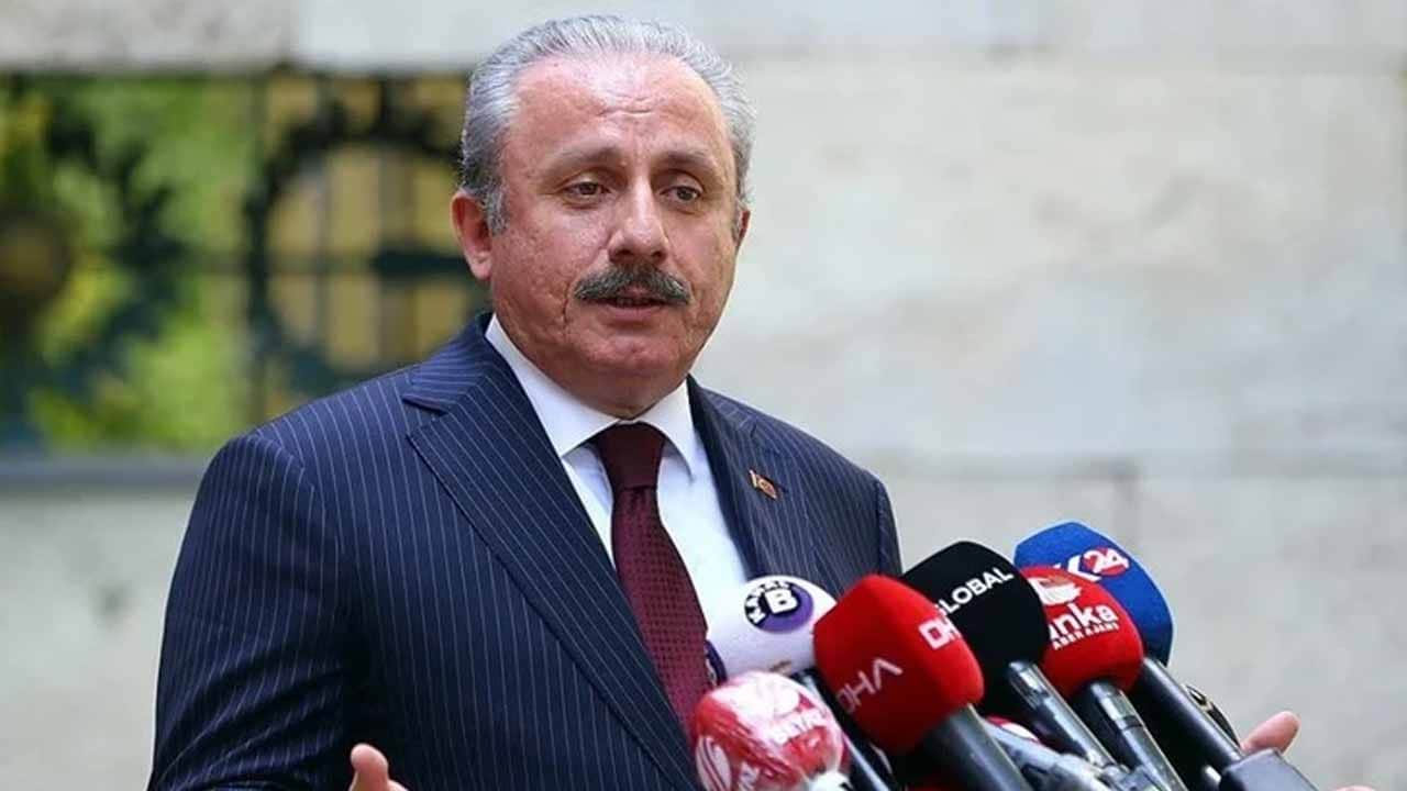 Foto - Başkan Erdoğan'ın adaylığıyla ilgili gündem olan yorum! Şentop: Şu anki anayasaya göre...