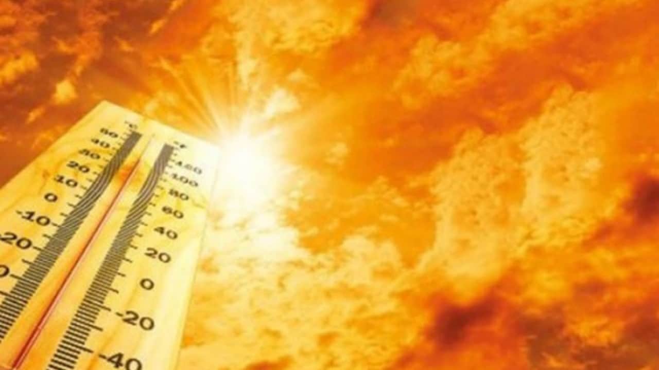 Foto - Batı Avrupa 2026 yazında kavruldu! Sıcaklık rekoru kırıldı
