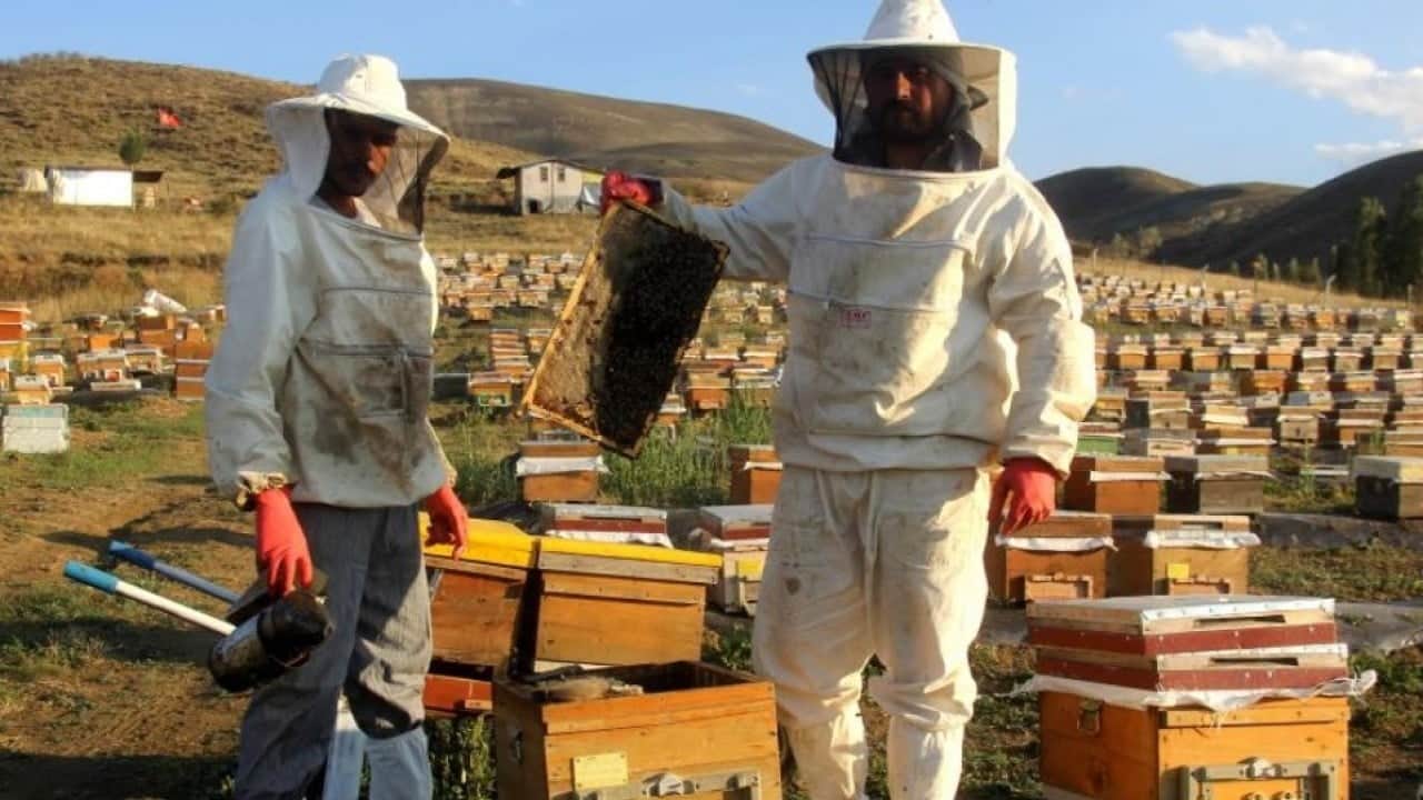 Foto - Bayburt’ta arıcıların tatlı telaşı başladı