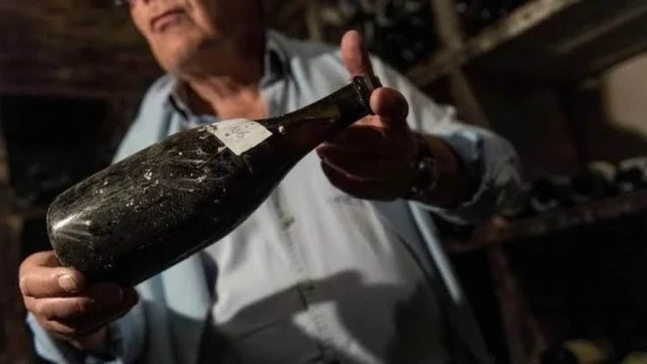 Foto - Belalarını buldular: İnsanların ocağına incir ağacı diken alkol markası iflas etti