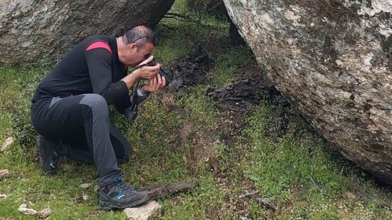 Foto - Beşparmak Dağı'nda yeni bir bitki türü keşfedildi! Türe, keşfeden kişinin oğlunun adı verildi 