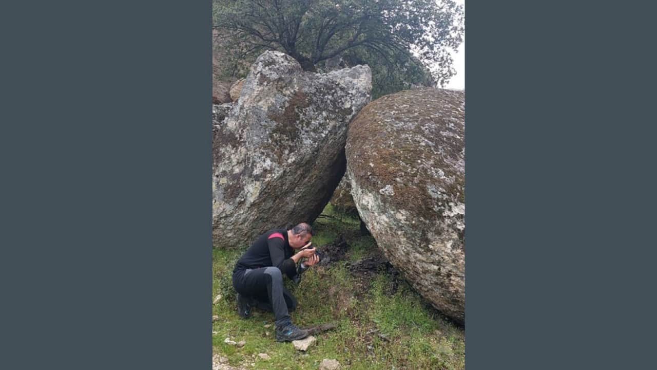 Foto - Beşparmak Dağı'nda yeni bir bitki türü keşfedildi! Türe, keşfeden kişinin oğlunun adı verildi 