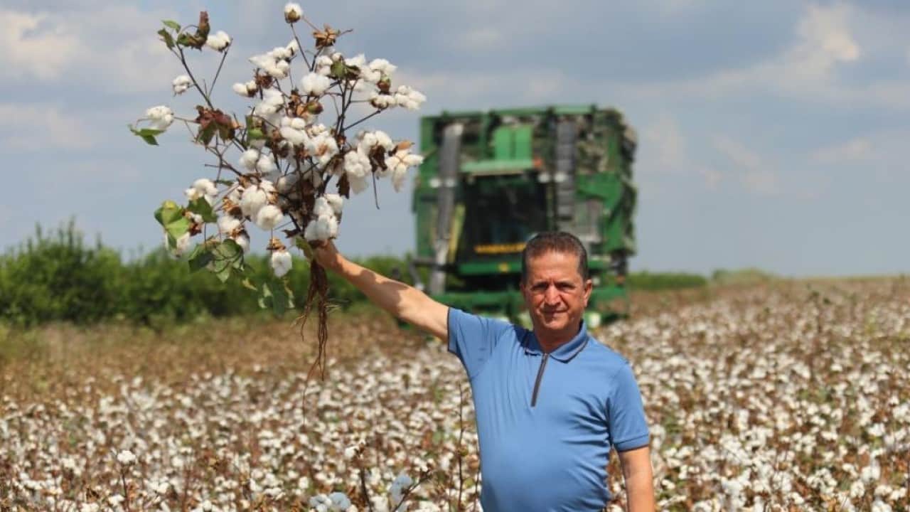 Foto - ‘Beyaz altın’ diyarında hasat başladı