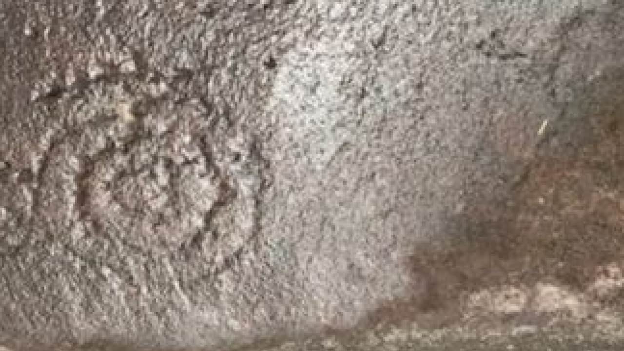Foto - Bilim adamları didik didik inceledi: Dünya'nın 2 milyar yıllık sırrına yeni yorum!