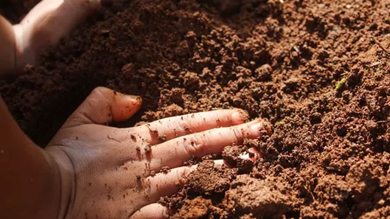 Foto - Bilim dünyası toprakla temasın faydasını bile gözler önüne serdi: Toprakla temas bağışıklığı artırıyor...