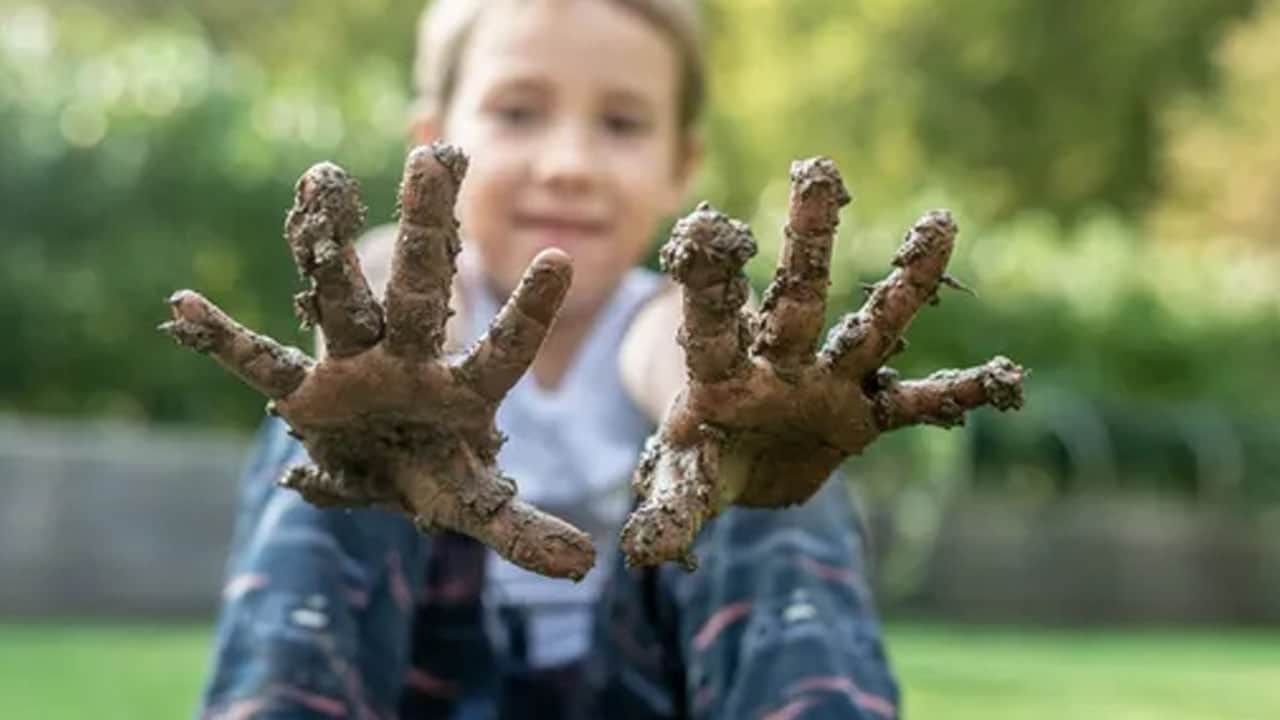 Foto - Bilim dünyası toprakla temasın faydasını bile gözler önüne serdi: Toprakla temas bağışıklığı artırıyor...