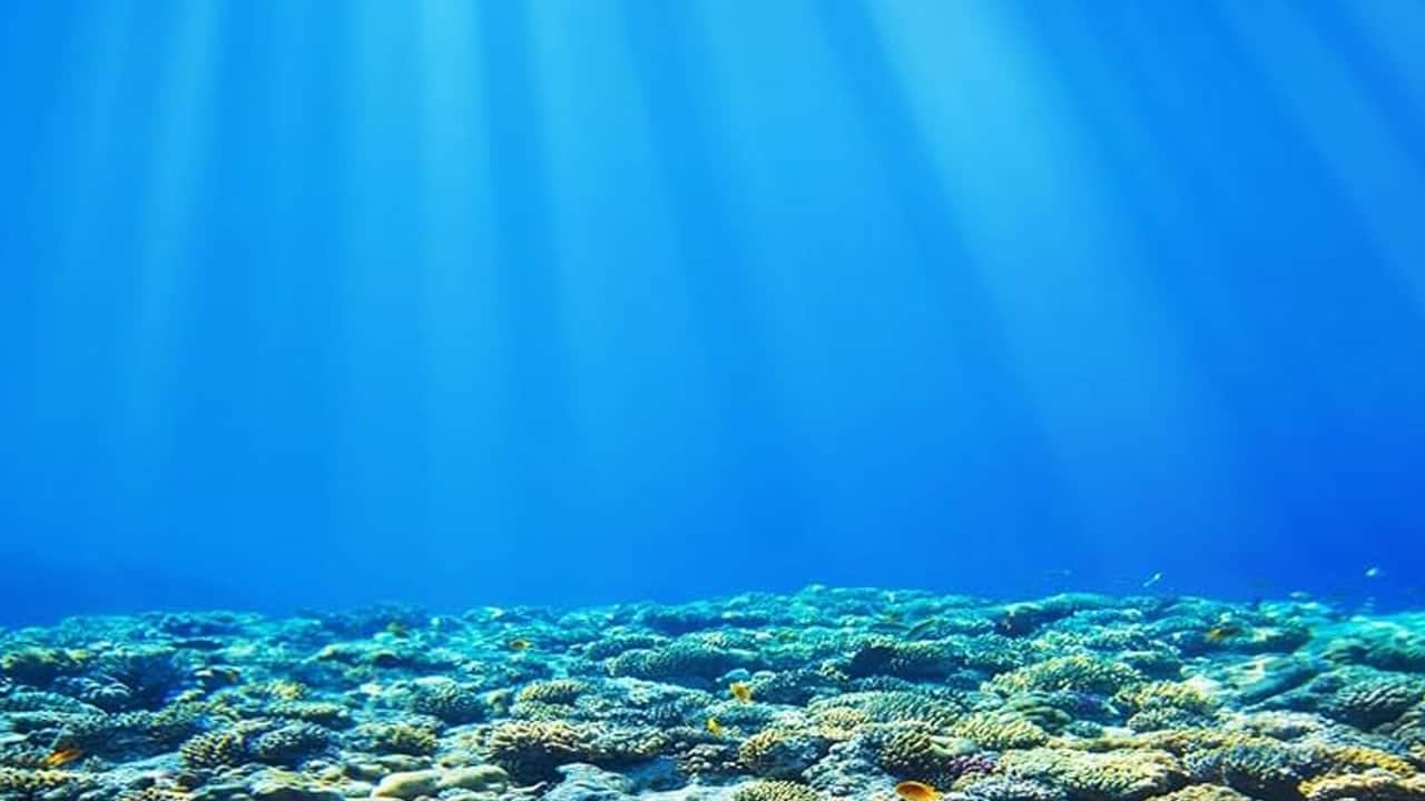 Foto - Bilim insanları güneş enerjisinin peşine düştü! Yaklaşık 5 yıl denizin 10 metre altında 2 saatte test edecekler