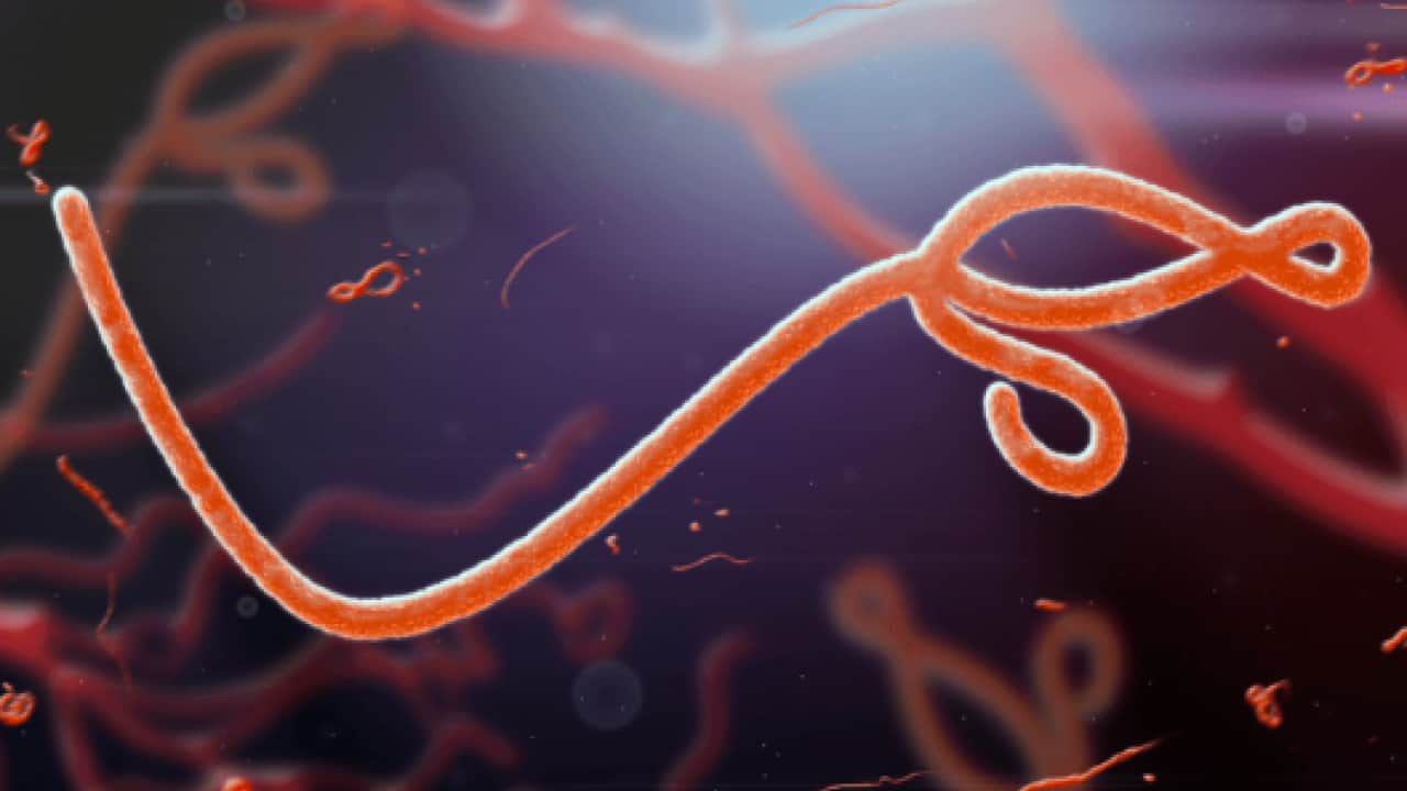Foto - Bir bu eksikti! BM'den Ebola salgını uyarısı: Müdahale hızından daha hızlı yayılıyor