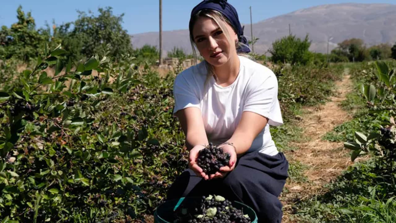Bir dondurma hayatını değiştirdi: Türkiye'nin dört bir yanına satış yapıyor!