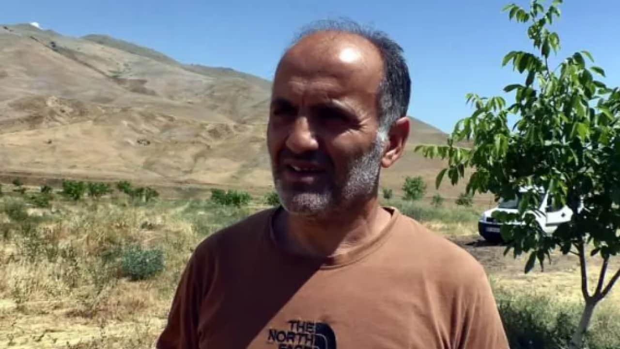 Foto - Bir ili istila ettiler: Boyları 20 santimetreye ulaşabiliyor!
