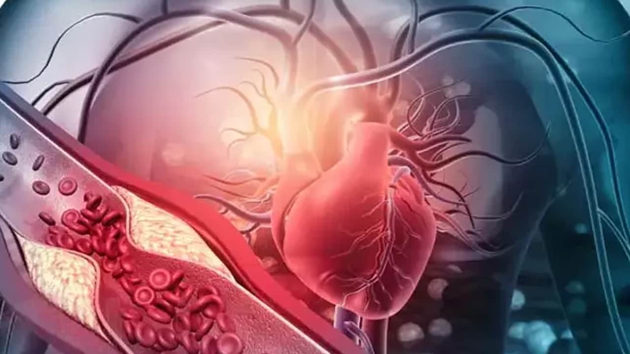 Foto - Bir öğün bile gücüne güç katıyor: Günde tek öğün yemek (OMAD) nedir ve nasıl uygulanır? Değişimi yapıyor mu? Şaşırtan sonuç