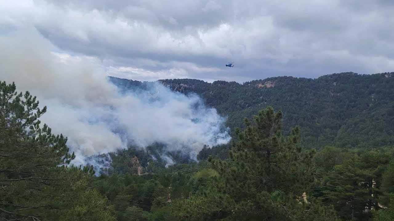 Foto - Bir orman yangını daha