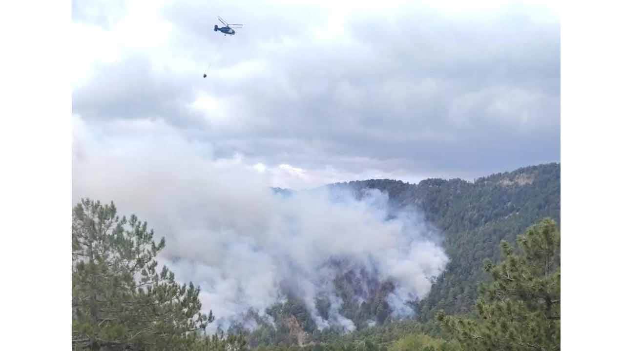 Bir orman yangını daha