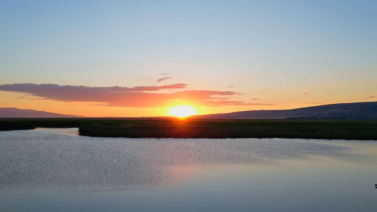 Foto - Bitlis ile Muş arasında saklı cennet! Rengarenk kuşlarıyla tropikal bölgeleri aratmıyor 