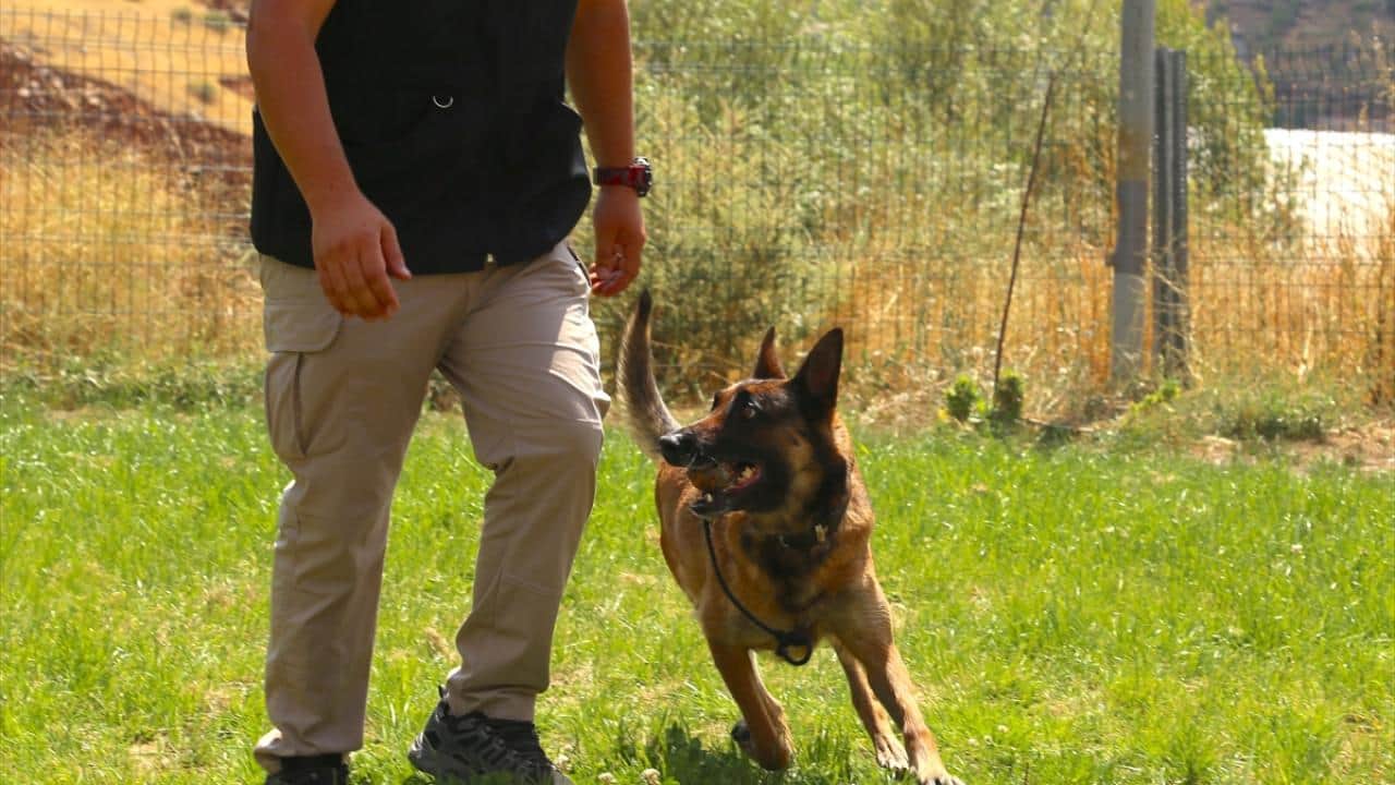 Foto - Bomba imha uzmanlarının zorlu görevi! Her şey vatandaşların can güvenliği için