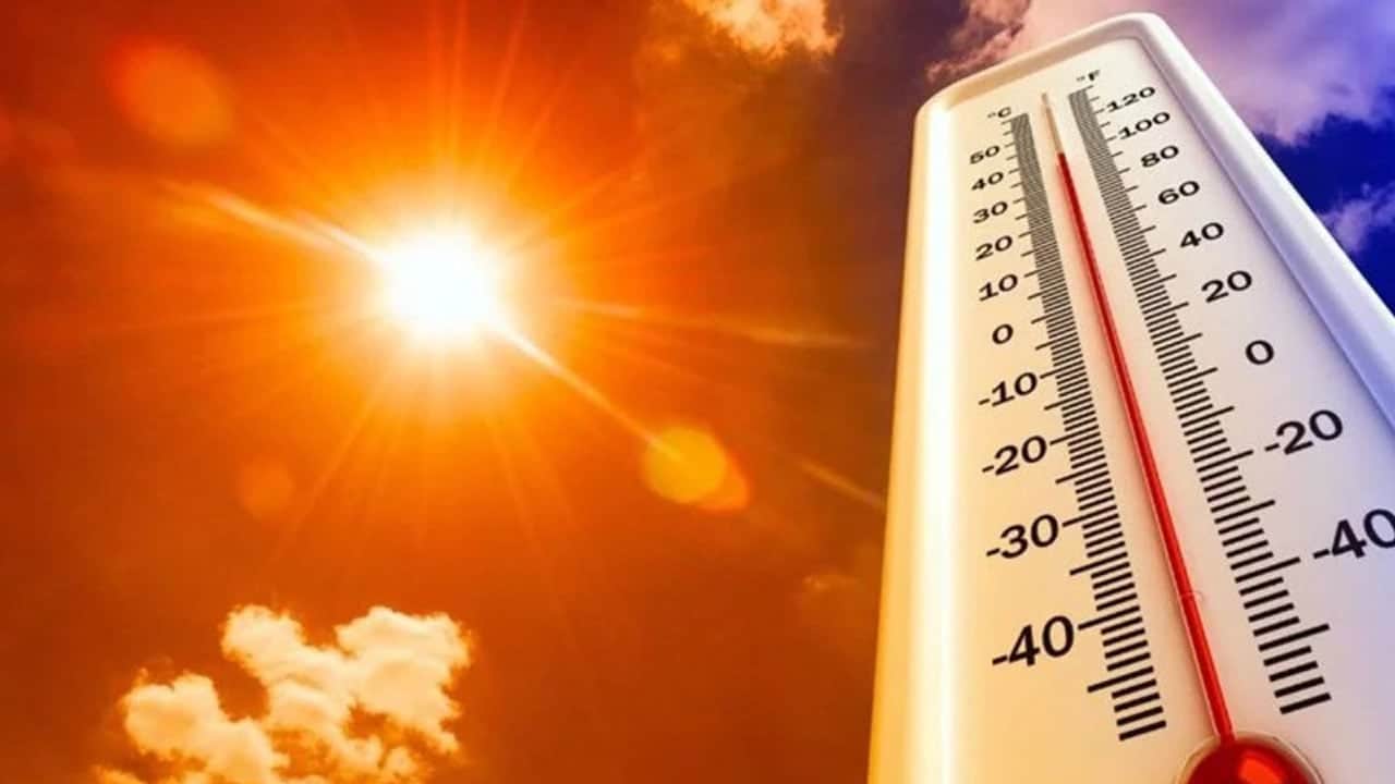 Foto - Boş süt kutularını çatılara dizdiler! Sonuçlarına inanamadılar