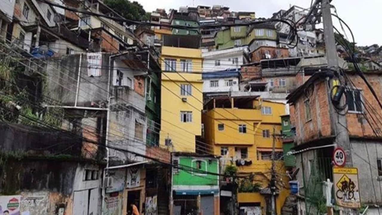 Foto - Boş süt kutularını çatılara dizdiler! Sonuçlarına inanamadılar