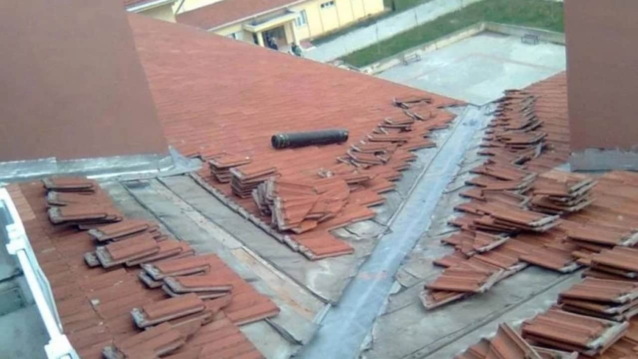 Foto - Boş süt kutularını çatılara dizdiler! Sonuçlarına inanamadılar