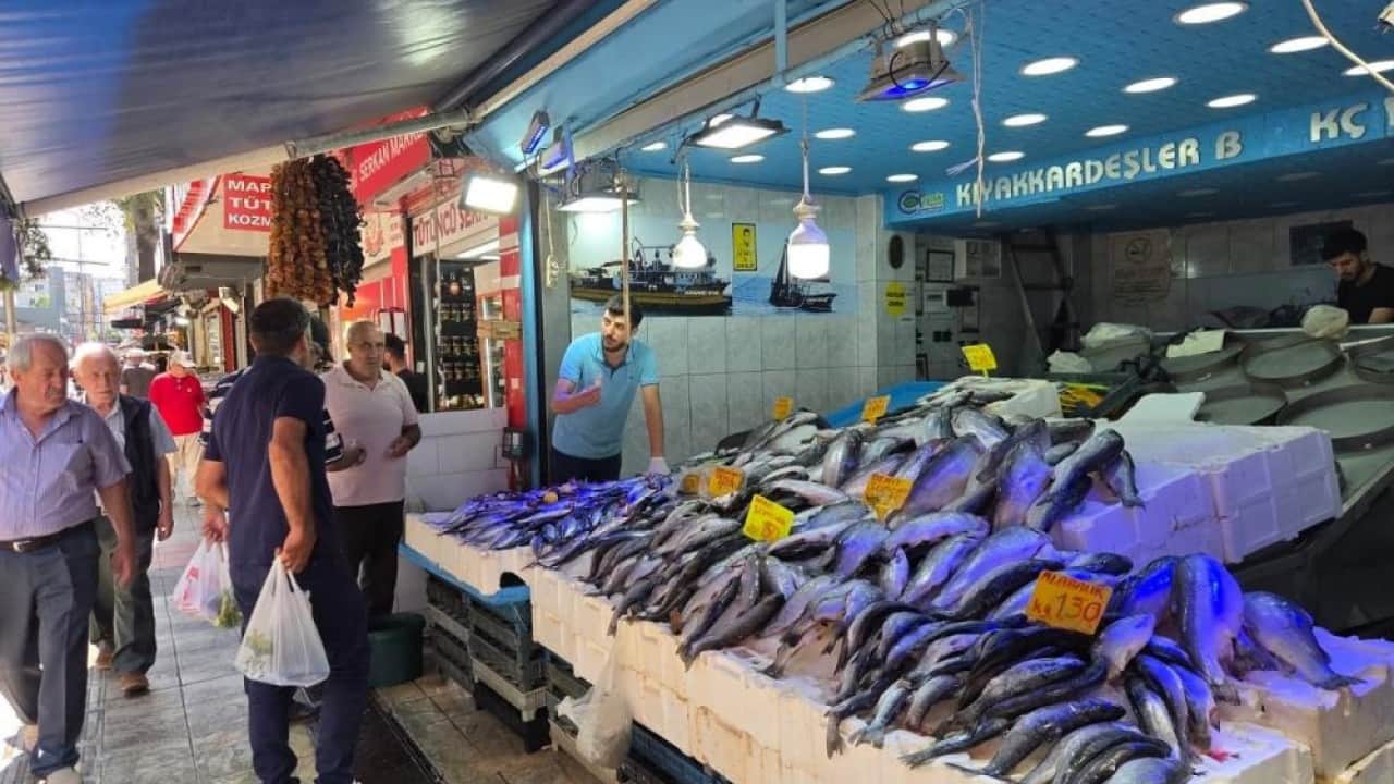Foto - Böylesi görülmedi, balığa doyacağız! Palamut fışkırıyor