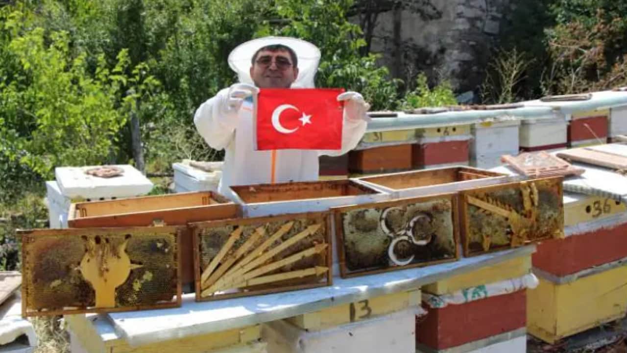 Bu defa seçimi arılar yaptı: 4 partinin anket sonuçları belli oldu!