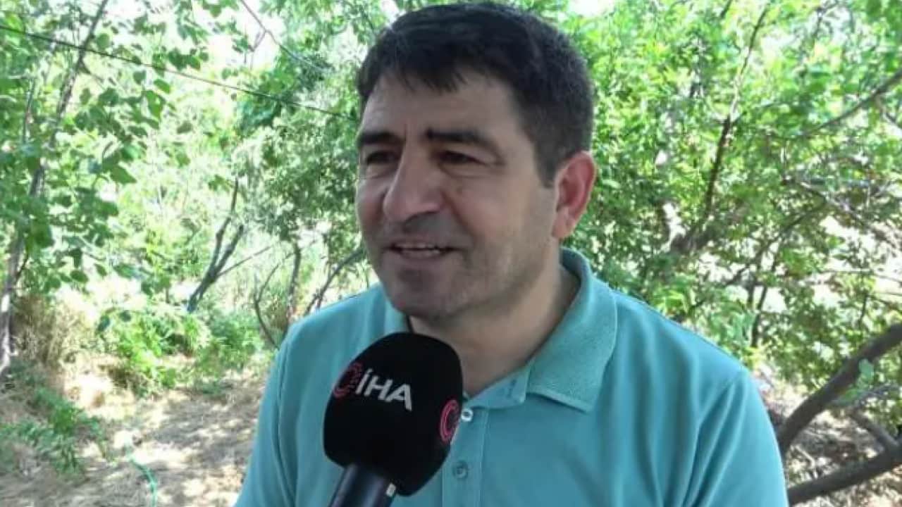 Foto - Bu defa seçimi arılar yaptı: 4 partinin anket sonuçları belli oldu!