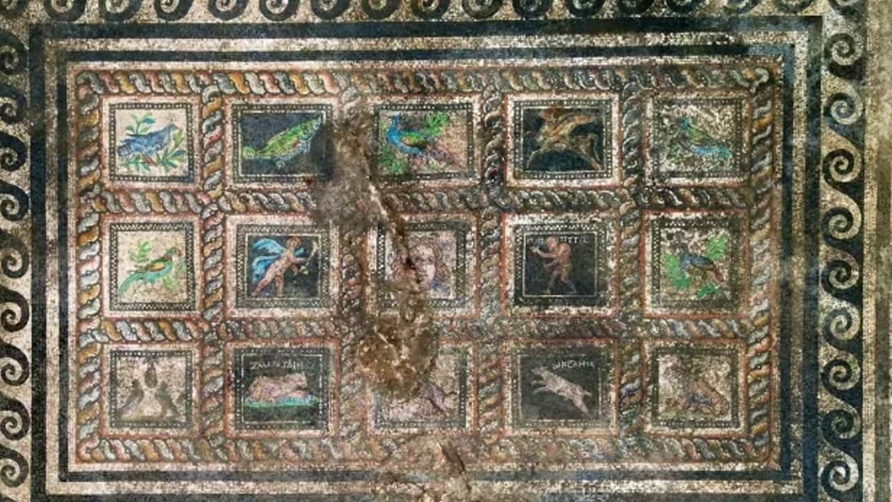 Foto - Bu detaya kulak verin: Kedi ve köpek onurlandırmak için yapılmış... 1800 yıllık tarihi mozaik