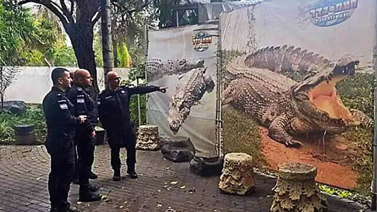 Foto - Bu nasıl bir zulüm! Müslümanları timsahlara yedirecekler!