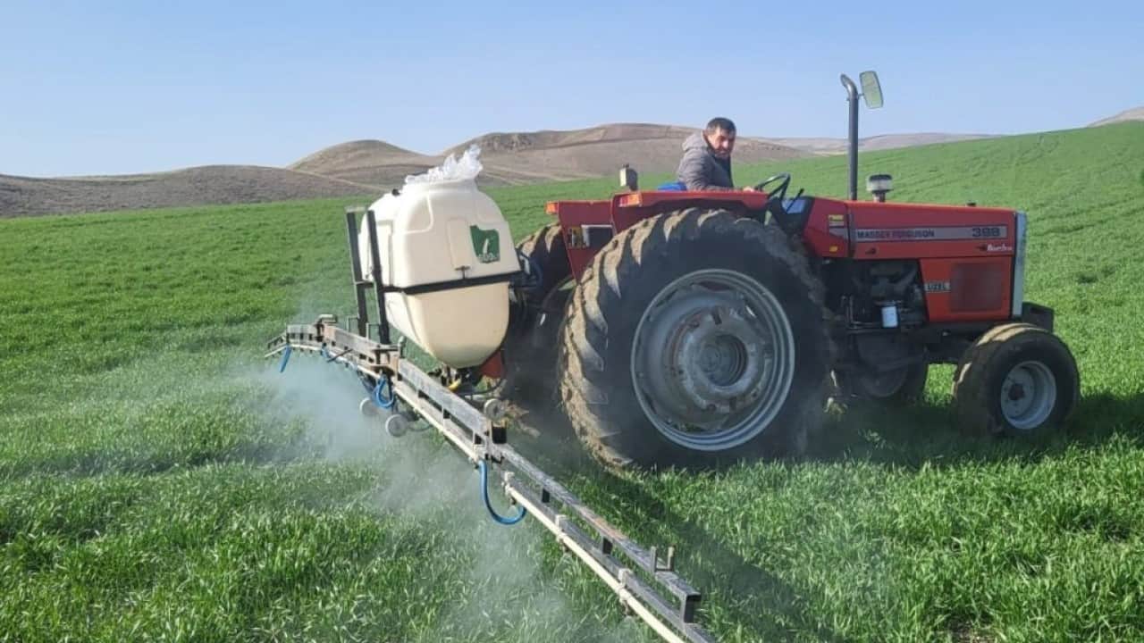 Foto - Bu zehir üreticiyi de öldürüyor tüketiciyi de! Çiftçilerin yarısının hayatı tehlikede!