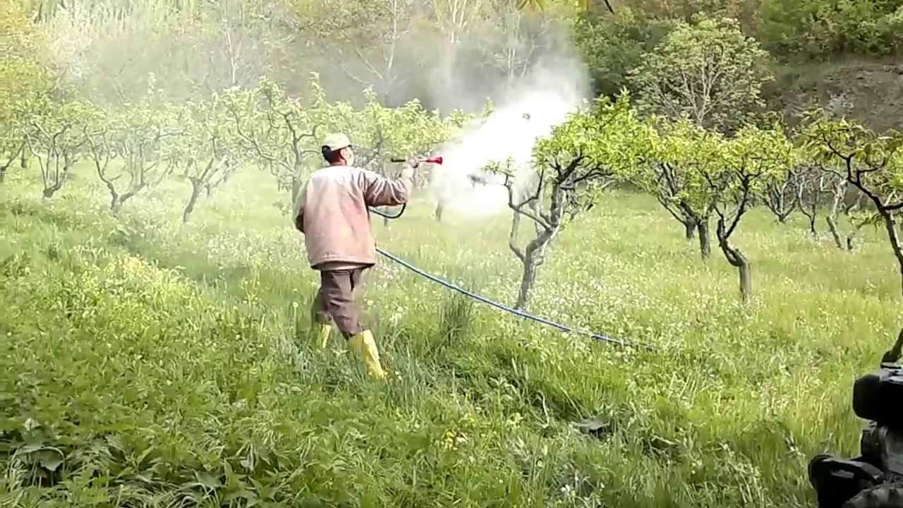 Foto - Bu zehir üreticiyi de öldürüyor tüketiciyi de! Çiftçilerin yarısının hayatı tehlikede!