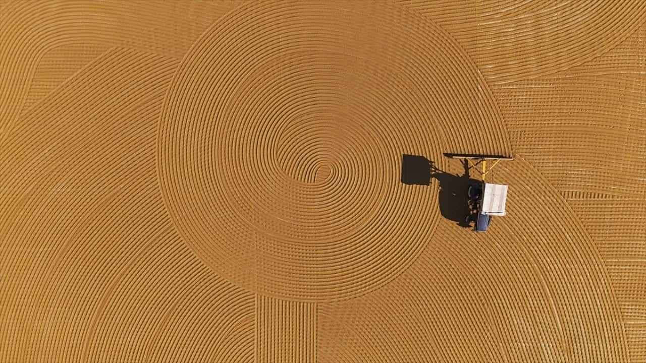 Foto - Buğdayın bulgura yolculuğu… Adeta sanat eseri!