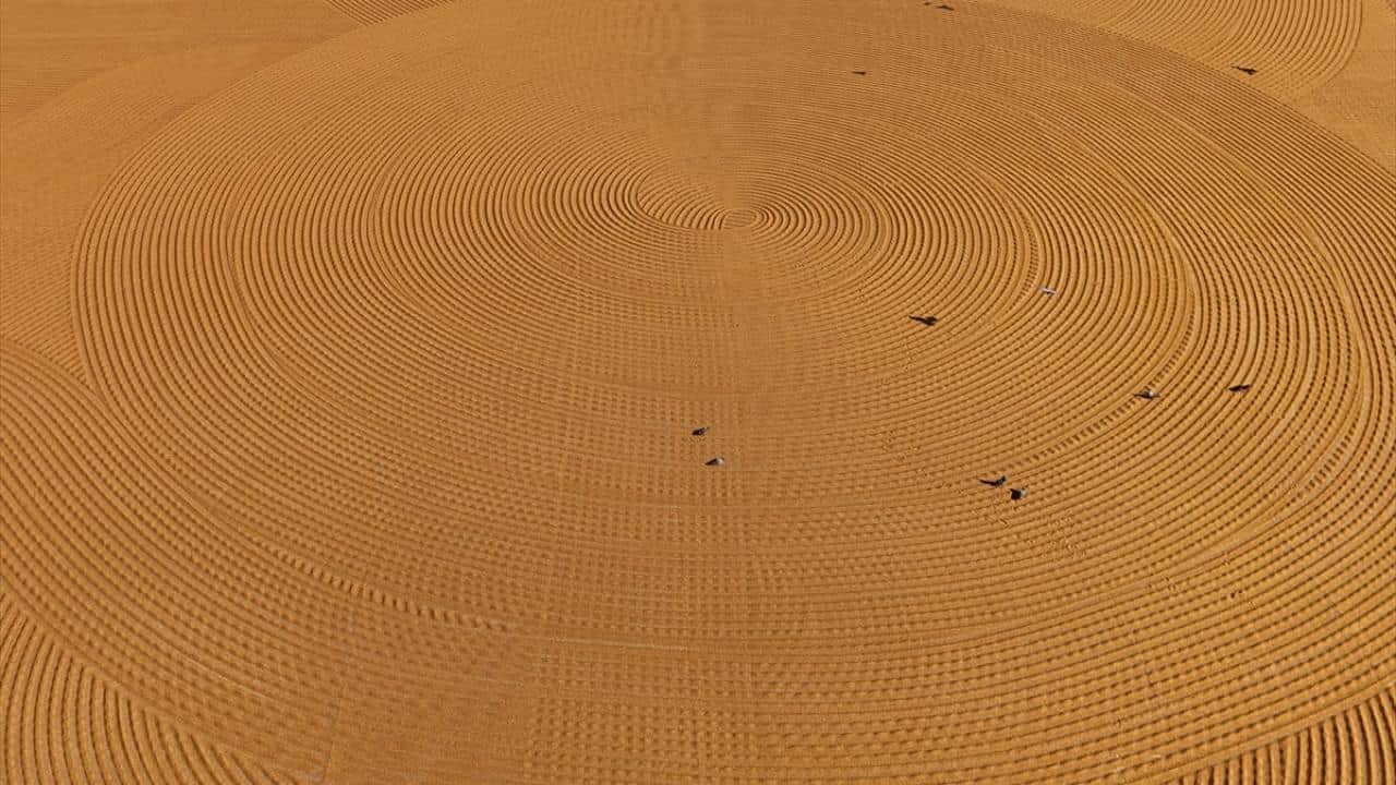 Foto - Buğdayın bulgura yolculuğu… Adeta sanat eseri!